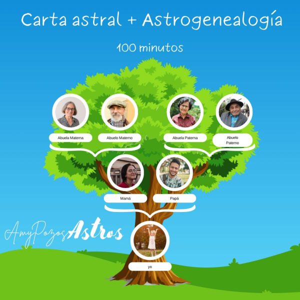 Carta astral y Astrogenealogía